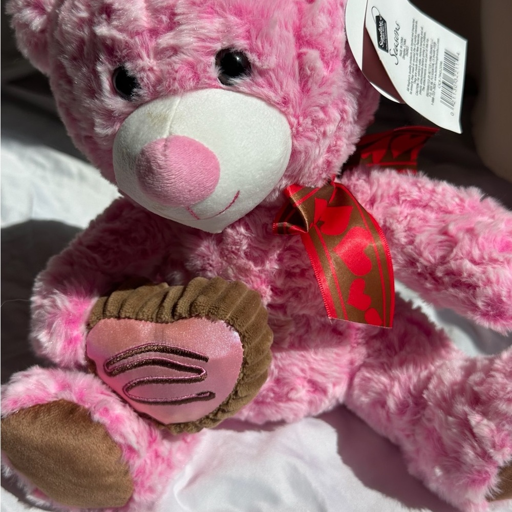 Pink Teddy Bear with Heart by